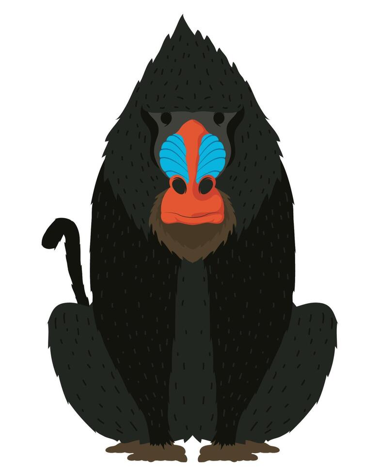 mandril de mono animal salvaje vector