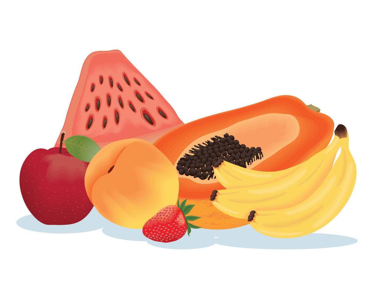 realistic fresh fruits vector
