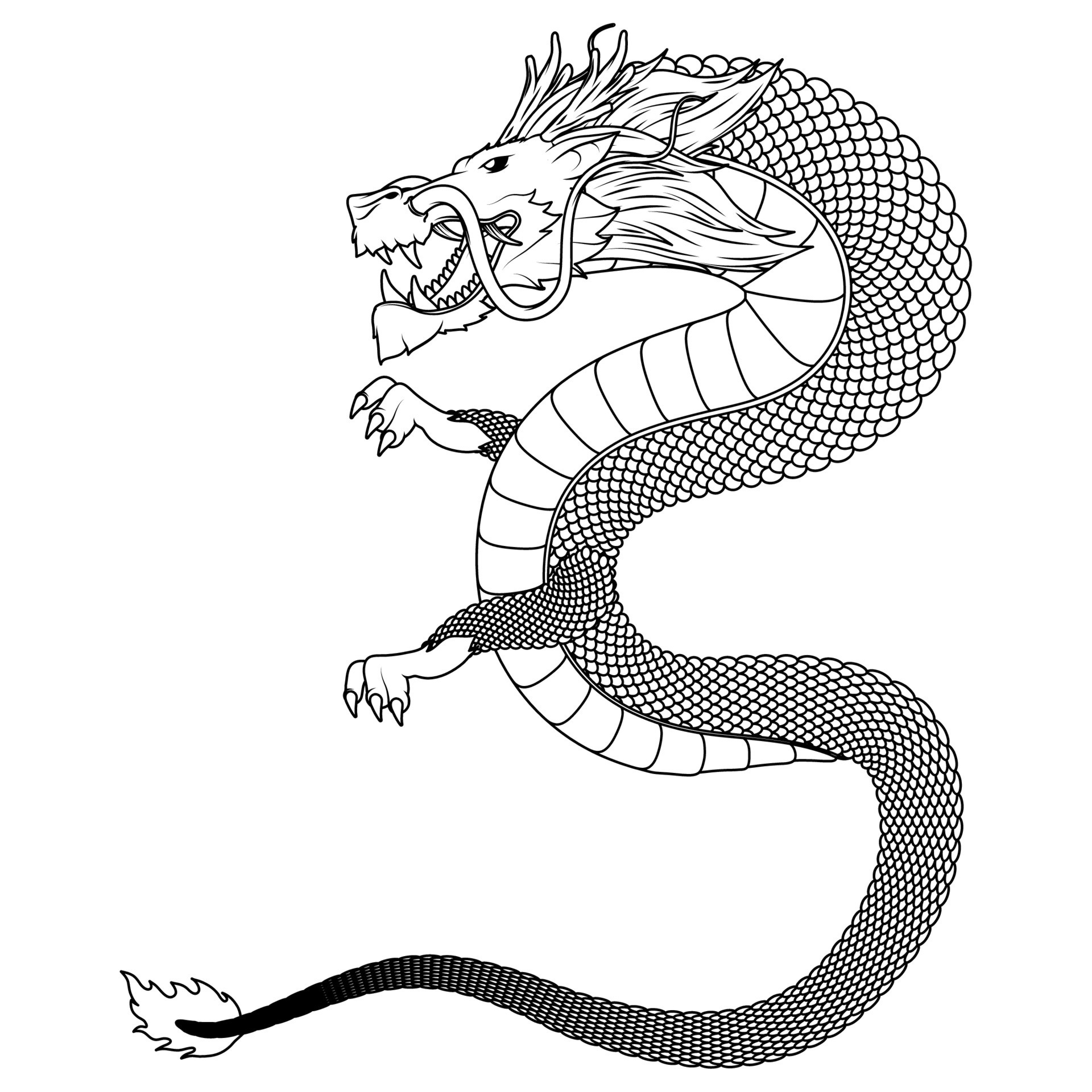 How to Draw a Chinese Dragon 8 Steps with Pictures  wikiHow