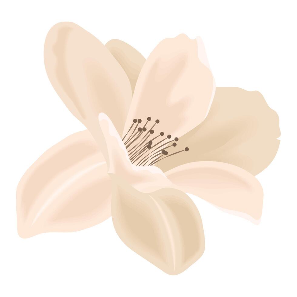 beige flower garden 10853456 Vector Art at Vecteezy