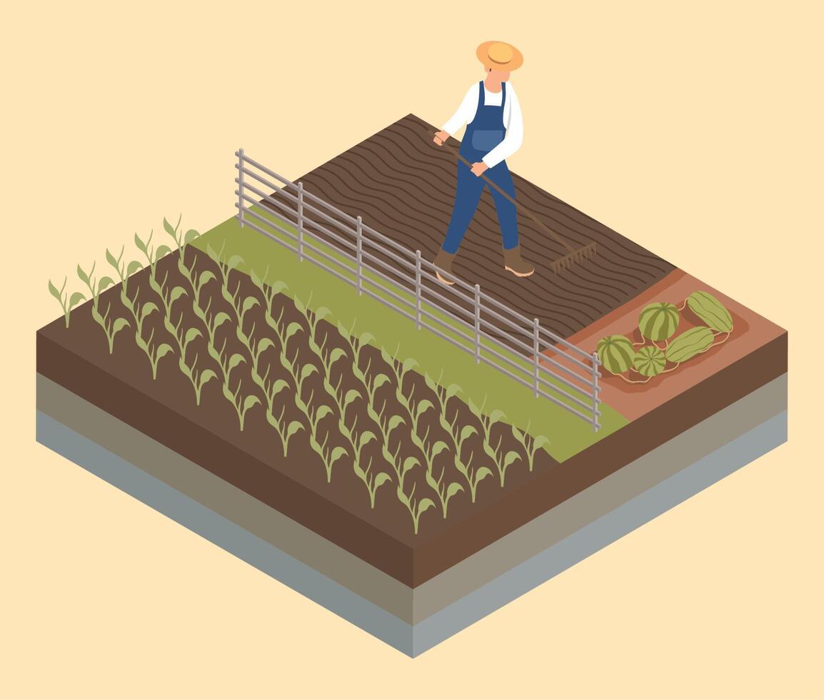 isometric farmer cultivating vector