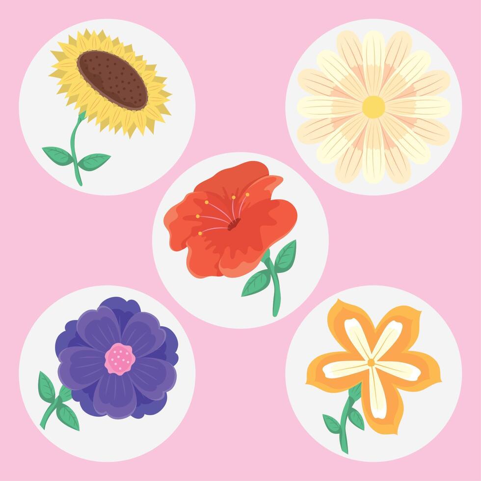 four spring season flowers vector