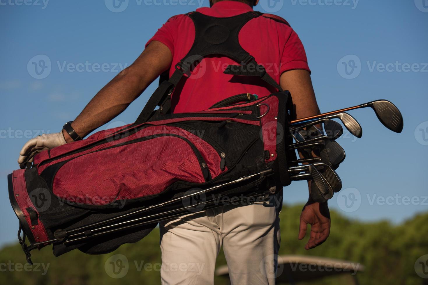 close up of golfers back while   walking and carrying golf  bag photo