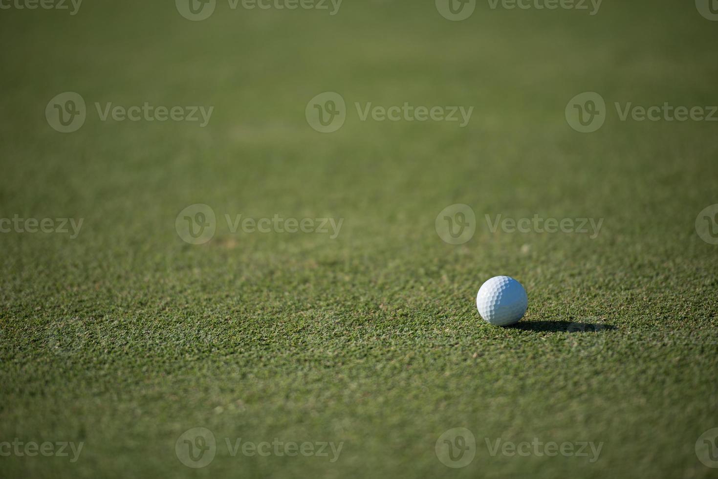 golf ball on grass photo