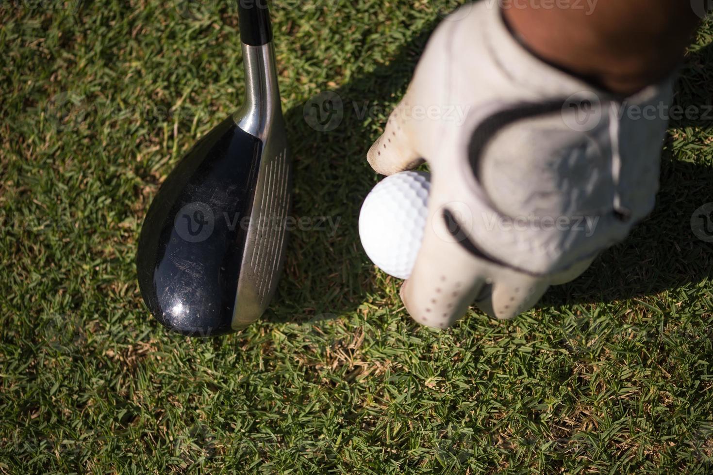 golf club and ball in grass photo