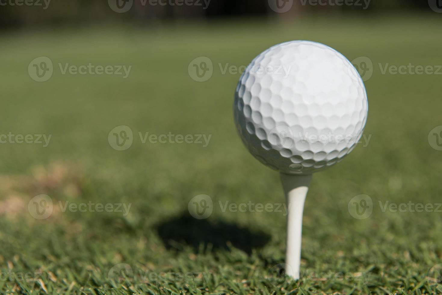 golf ball on tee photo