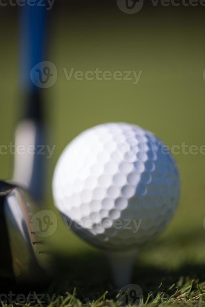 golf club and ball in grass photo
