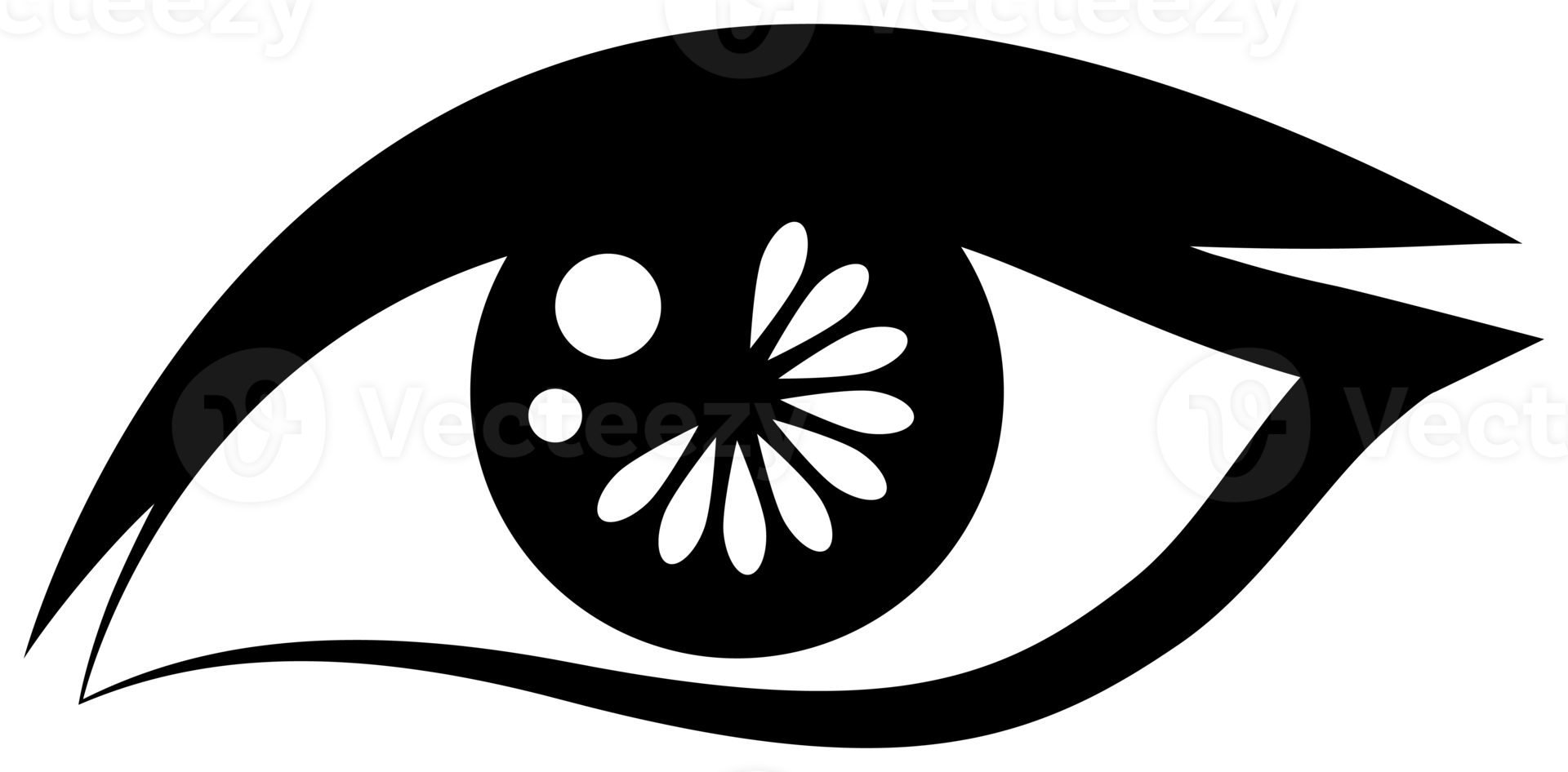 eye illustration, black and white eye icon. 10856418 PNG
