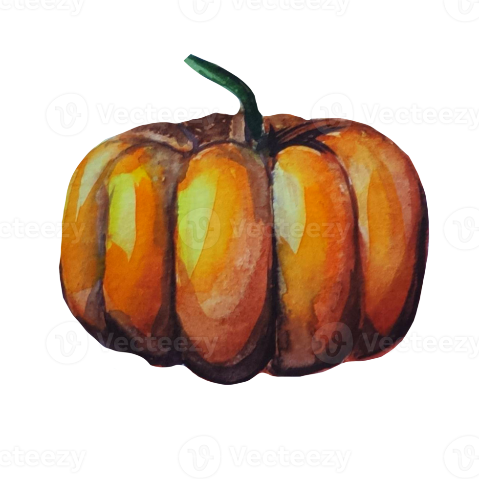 pumpa illustration vattenfärg png