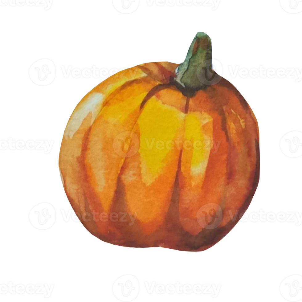 pumpkin watercolours illustration png