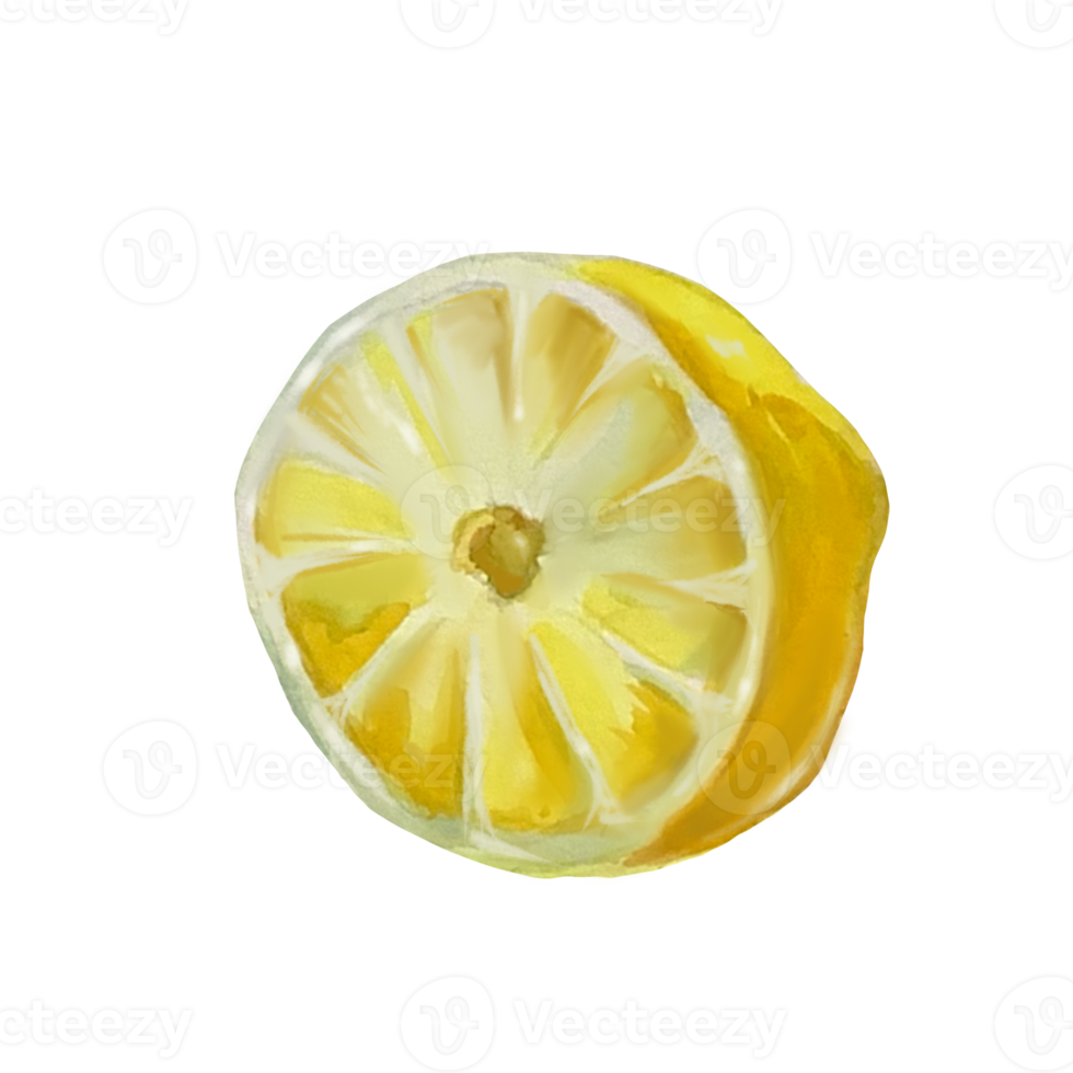 lemon watercolor illustration png