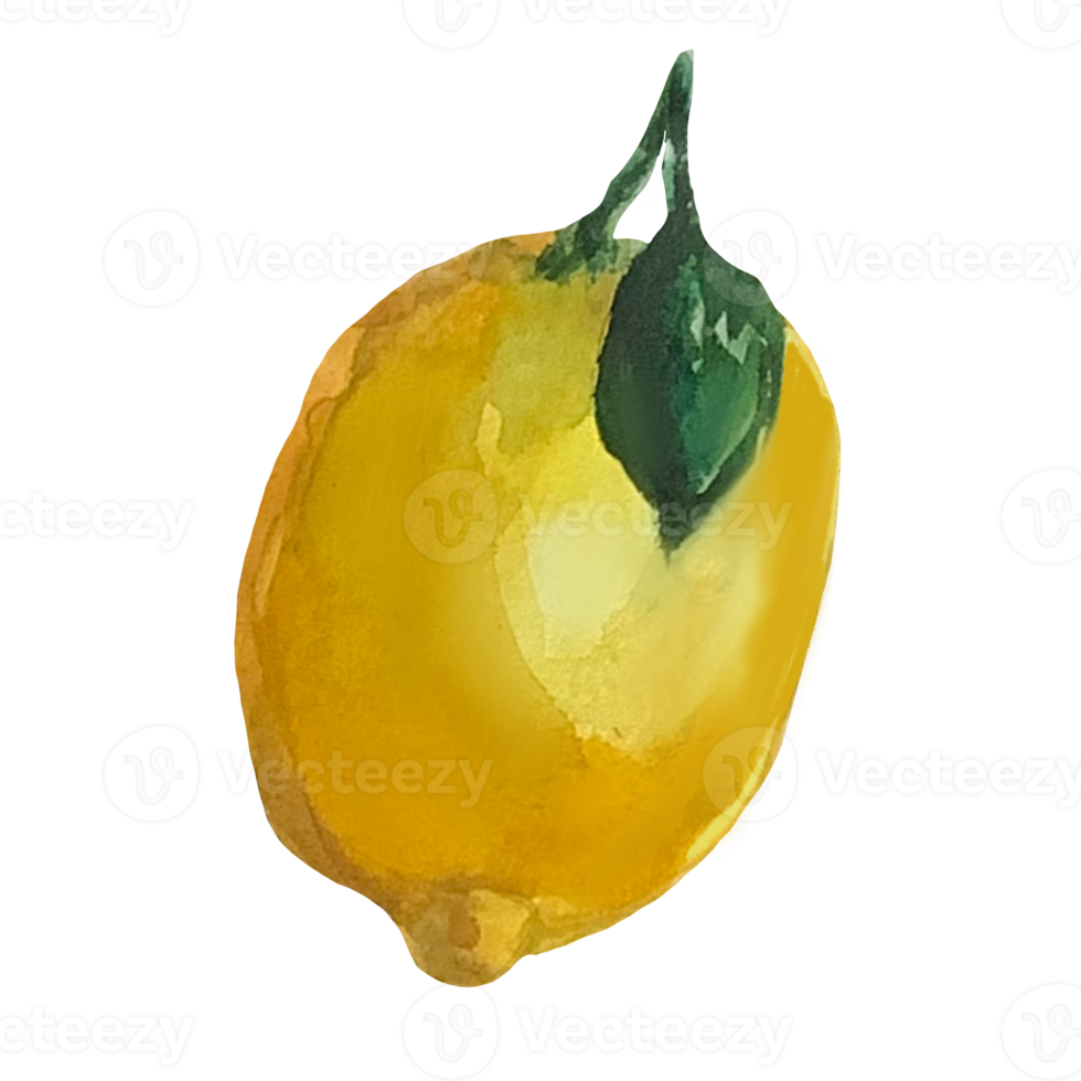 lemon watercolor illustration png