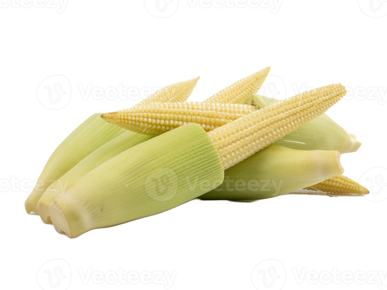 Fresh ripe Baby corn isolated on the white background png