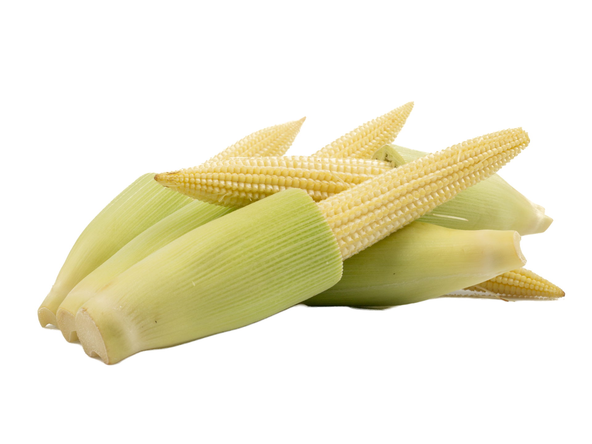Fresh ripe Baby corn isolated on the white background 10856588 PNG