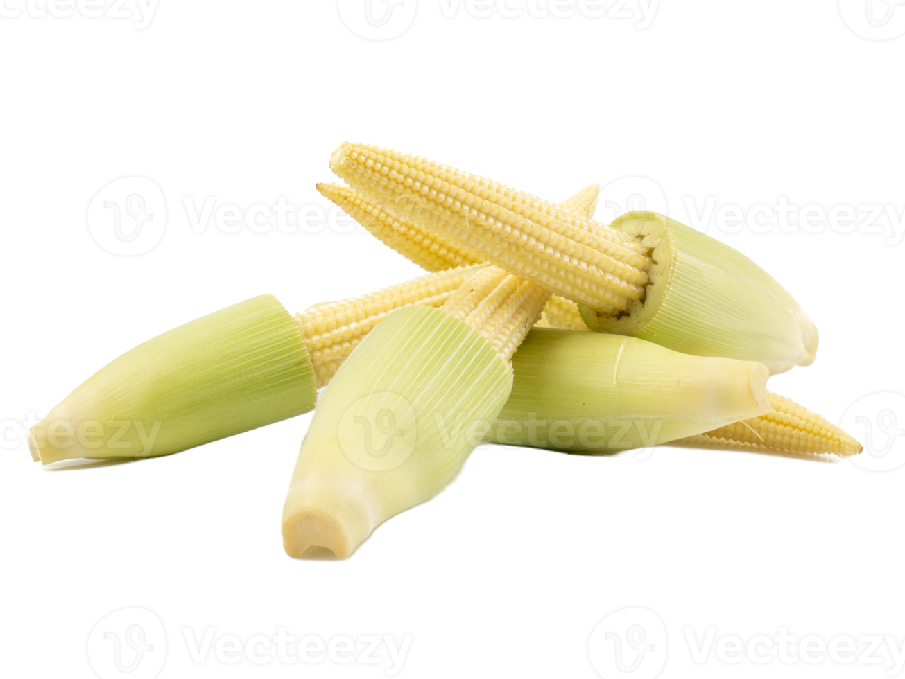 Fresh ripe Baby corn isolated on the white background png