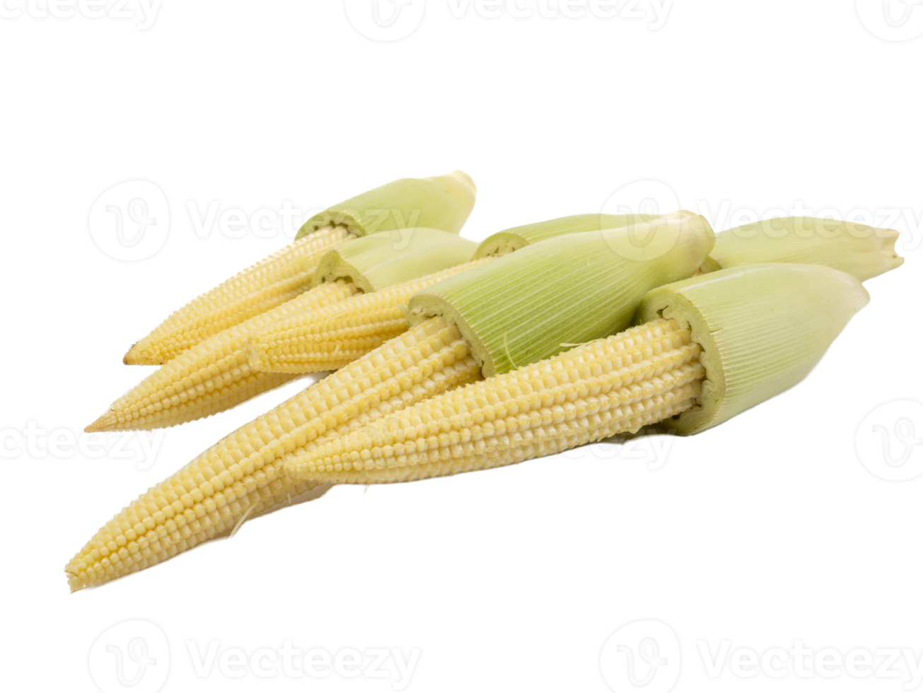 Fresh ripe Baby corn isolated on the white background 10856633 PNG