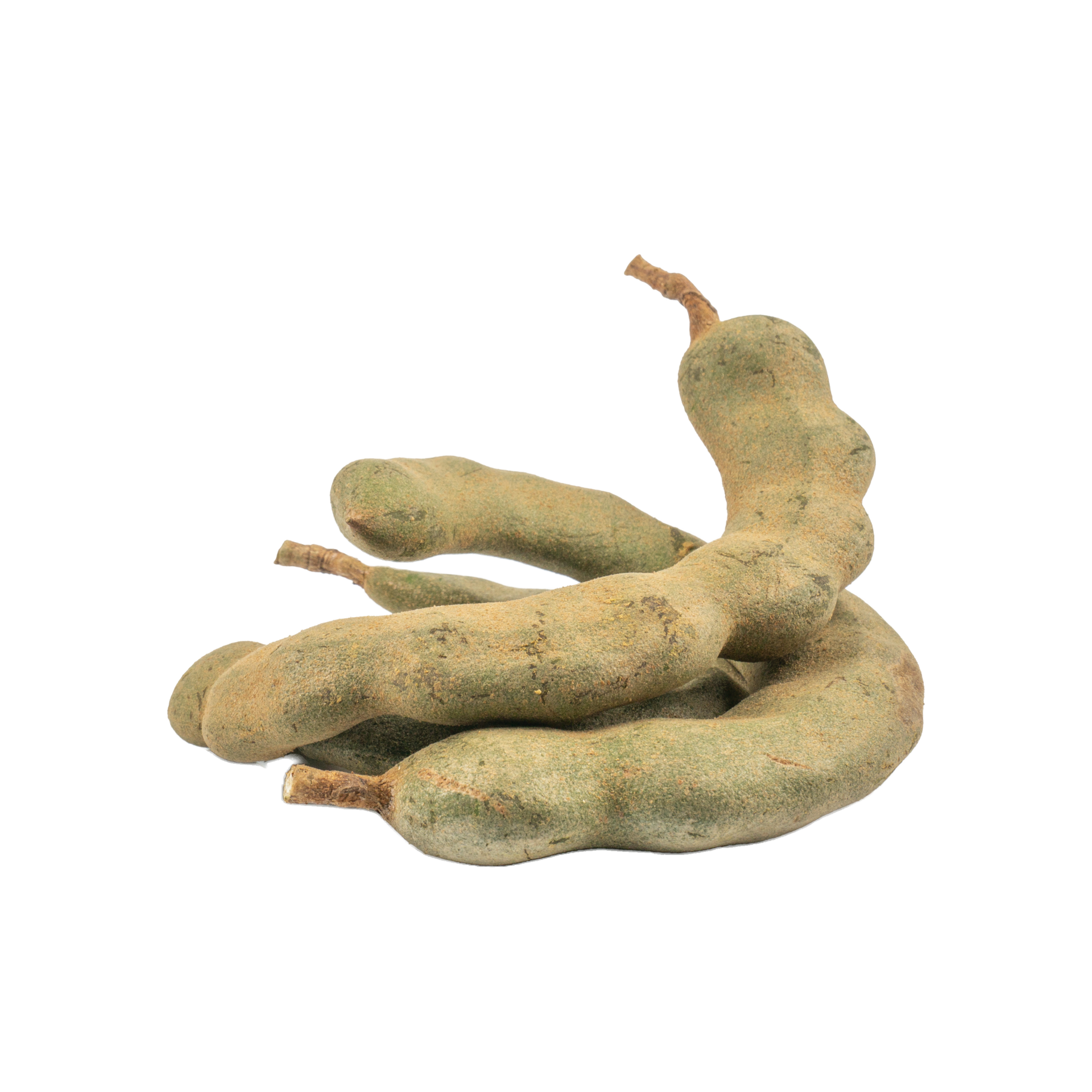 Fresco joven tamarindo tamarindus indica aislado sobre fondo blanco