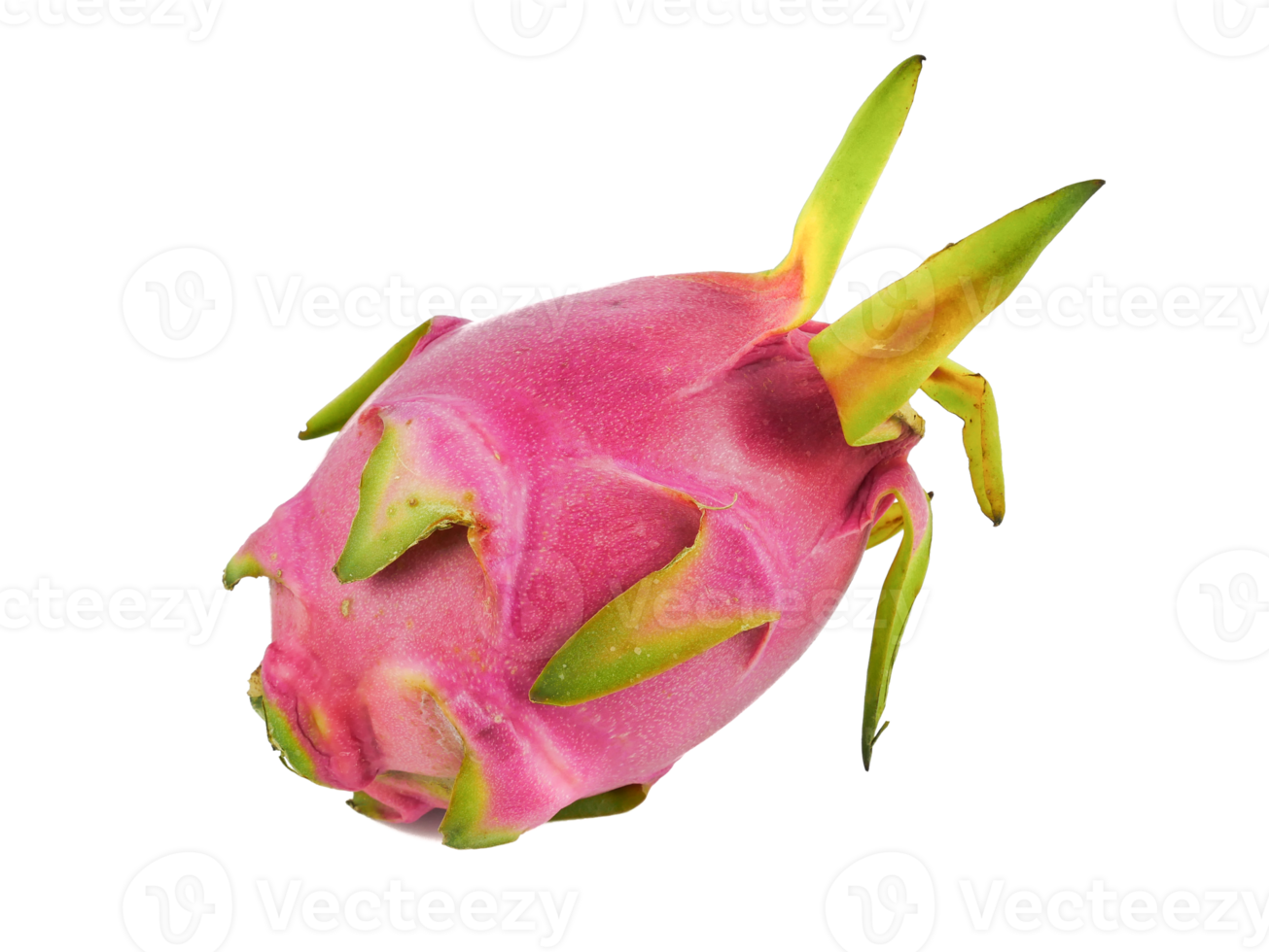 Ripe Dragon fruit,Pitaya or Pitahaya Hylocercus undatus Brit. Rose isolated on a white background, fruit healthy concept png