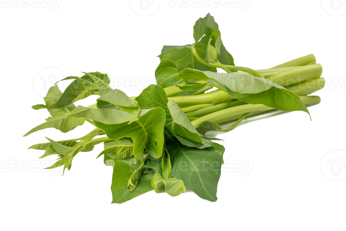 Water spinach, Kang Kong, Morning Glory, Water Convolvulus Ipomoea aquatica isolated on white background png