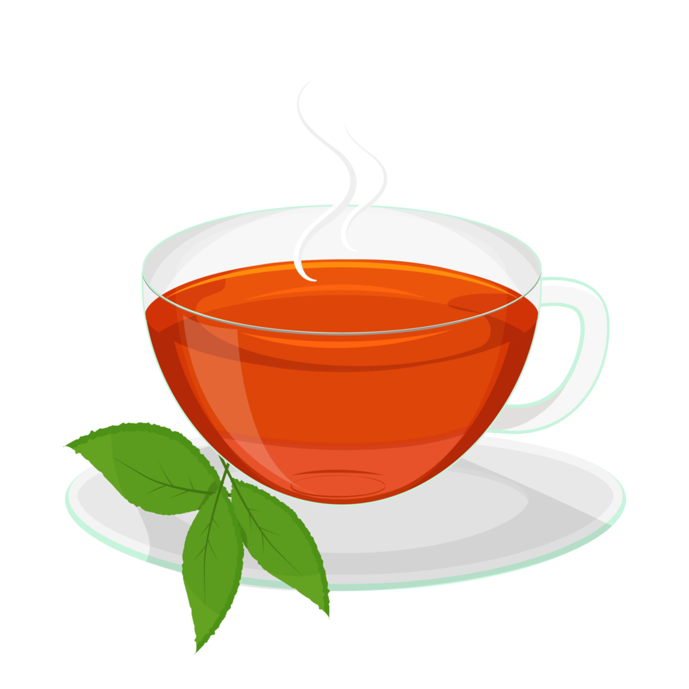 una taza de té con té de hojas png