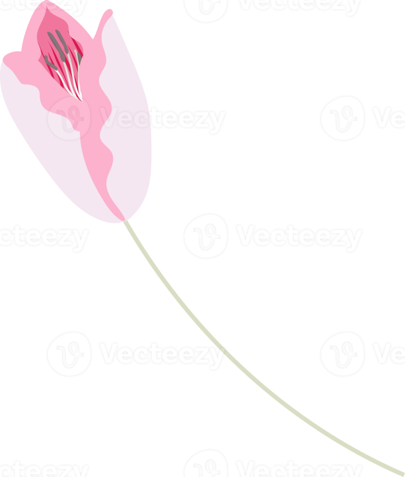 flowers and leaf png