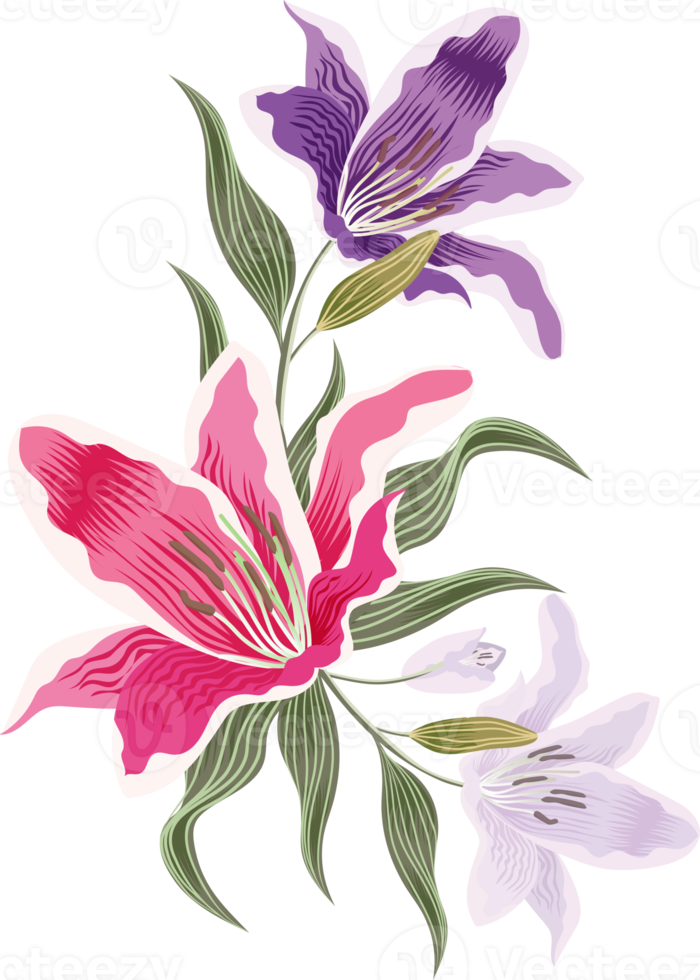 bloemen en blad png