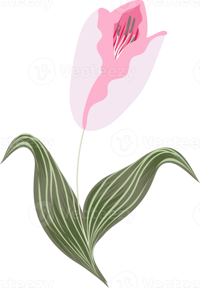 flowers and leaf png