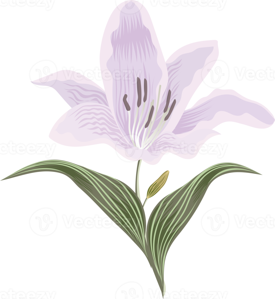 flowers and leaf png