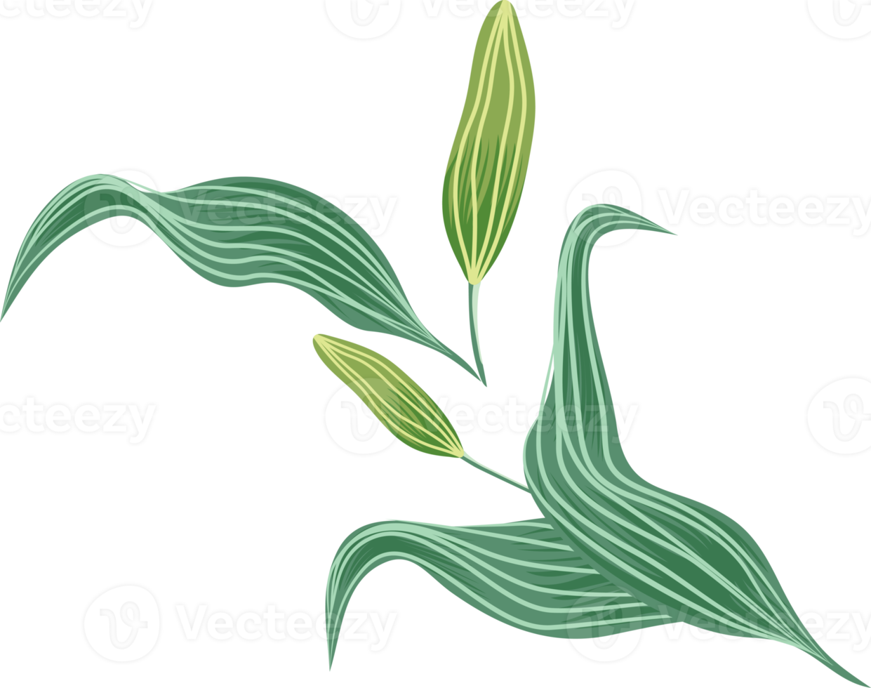 flowers and leaf png