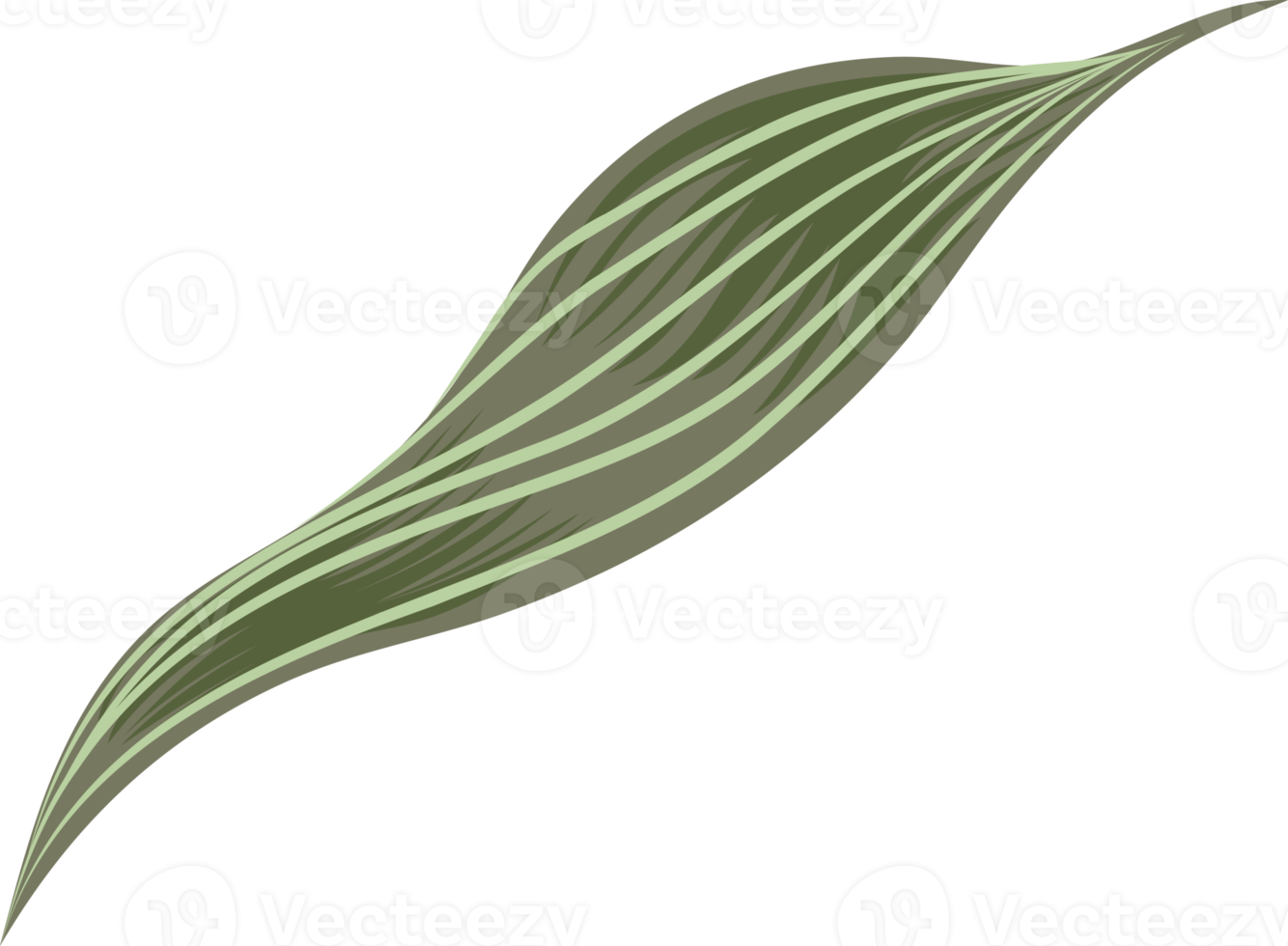 flowers and leaf 10857129 PNG