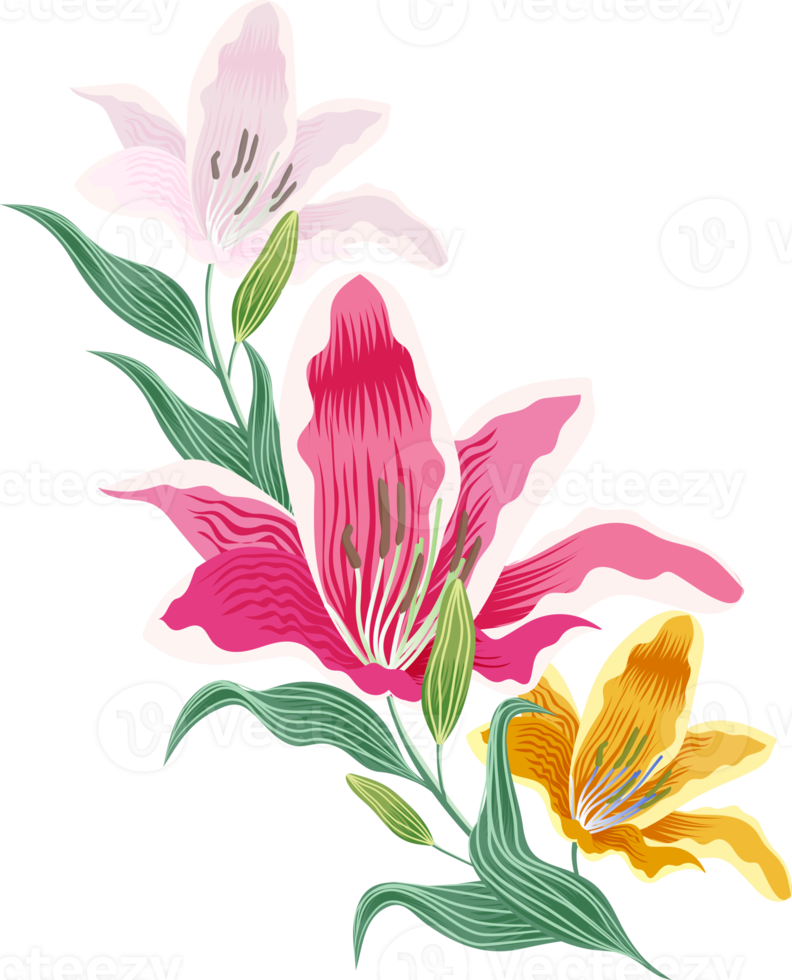 Free flores y hojas 10857131 PNG with Transparent Background