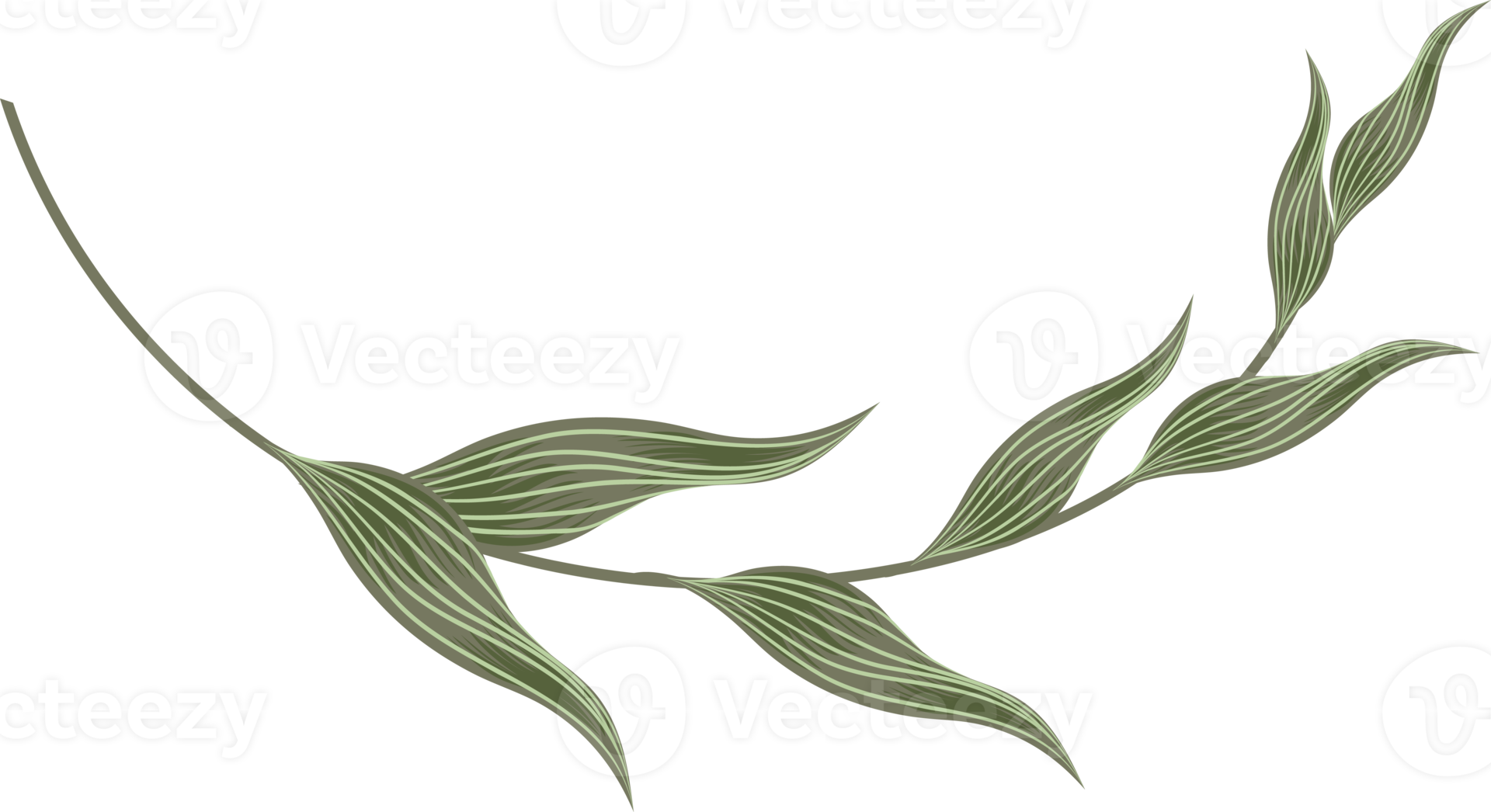 flowers and leaf 10857133 PNG