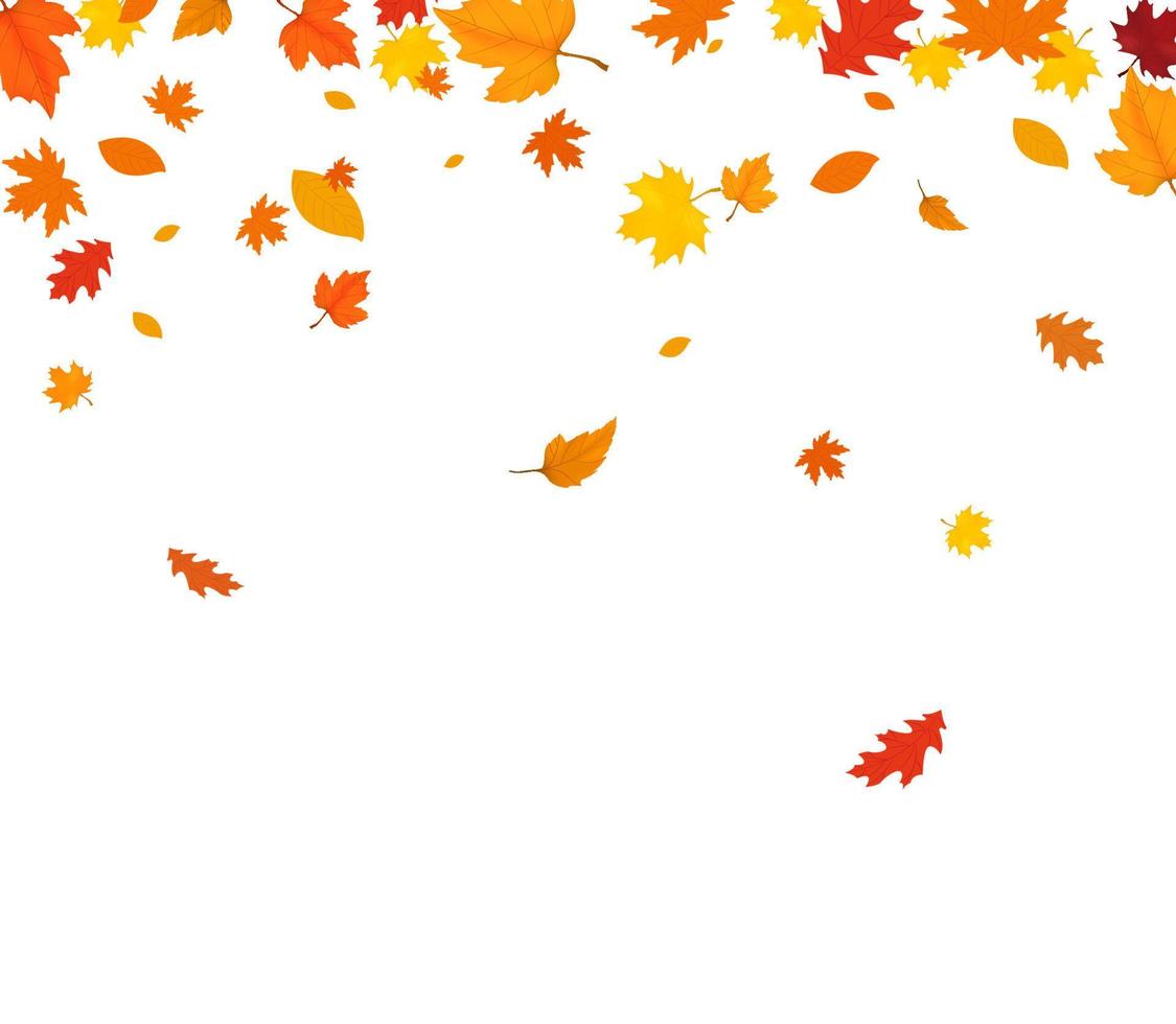 hojas de otoño cayendo aisladas sobre fondo blanco vector
