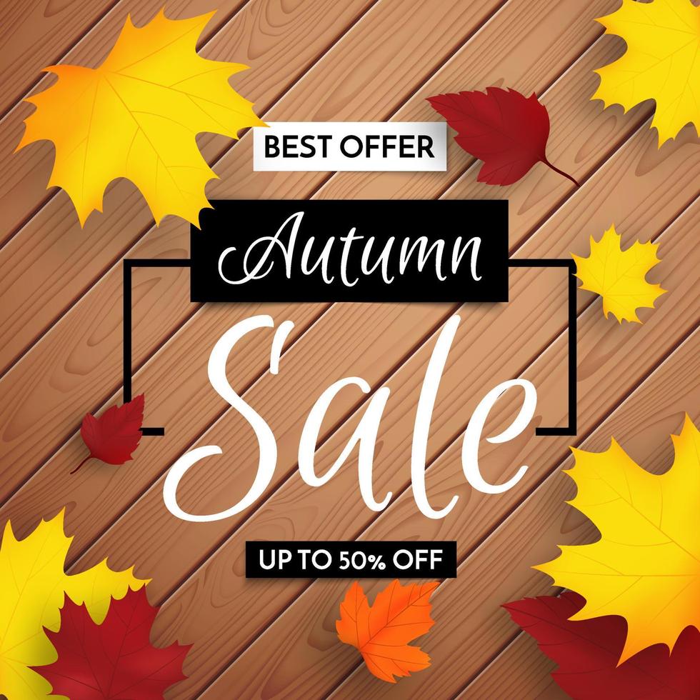 Autumn sale banner. Fall design background. vector