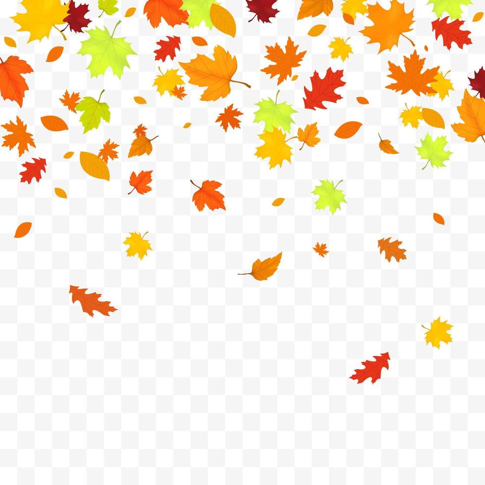 Autumn Falling Leaves Isolated On White Background vector