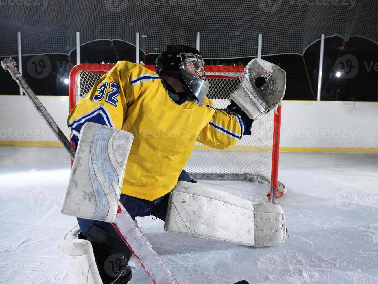 ice hockey goalkeeper photo