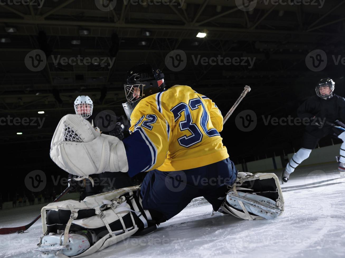 ice hockey goalkeeper photo