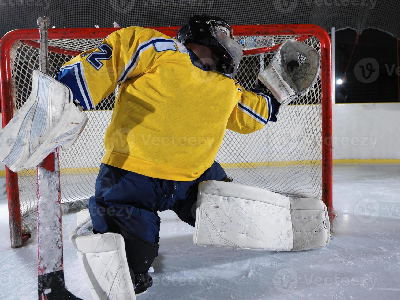 ice hockey goalkeeper photo