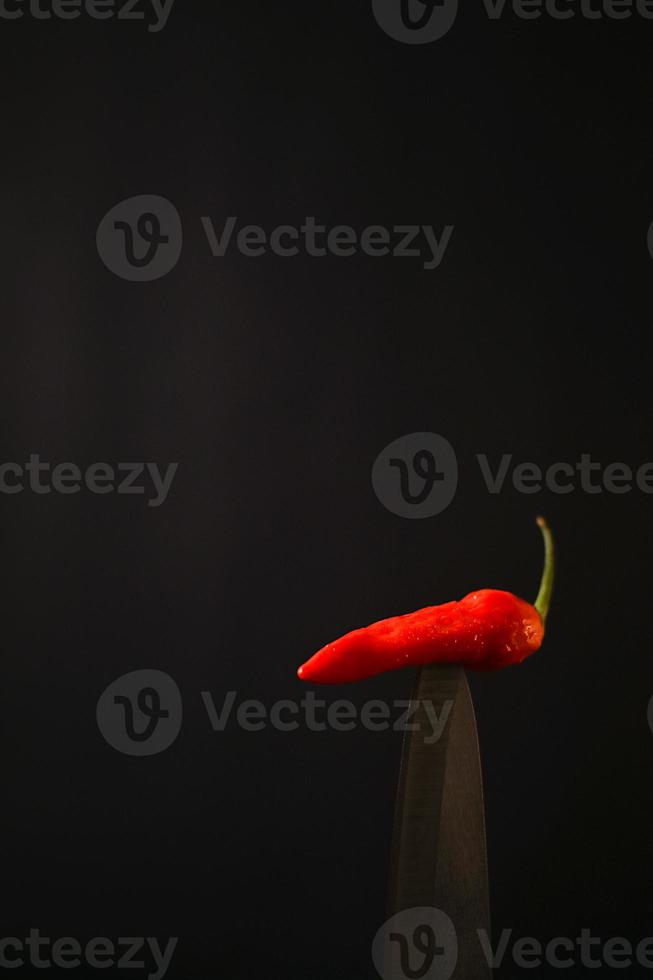 premium chili in the bled with black background photo