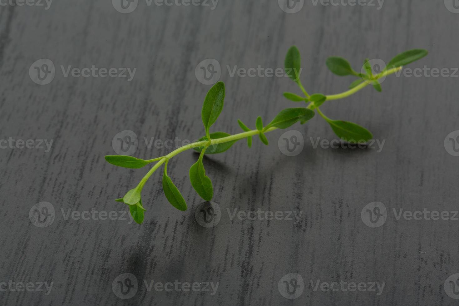 Thyme on wooden background photo