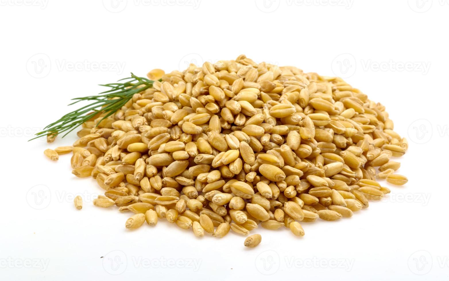 Gold rice on white background photo