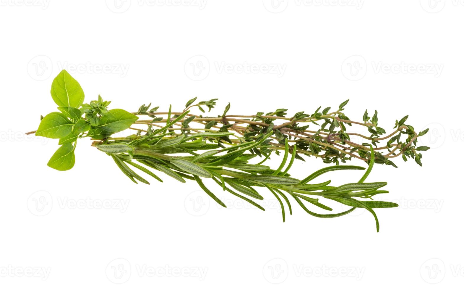 Fresh aroma herbs on white background photo