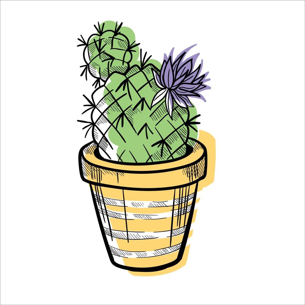 Cactus in flowerpots colorful flat illustration isolated o white vector