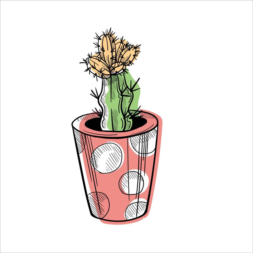 Cactus in flowerpots colorful flat illustration isolated o white vector