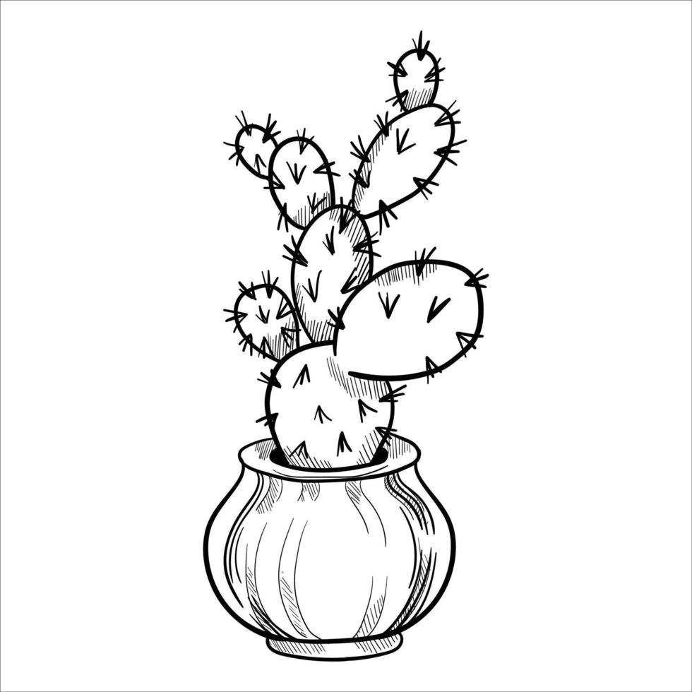 Cactus in flowerpots. Outline hand drawn sketch vector