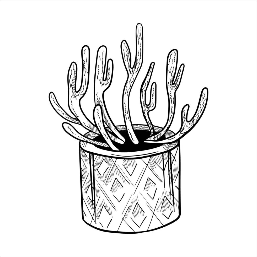 Cactus in flowerpots. Outline hand drawn sketch vector