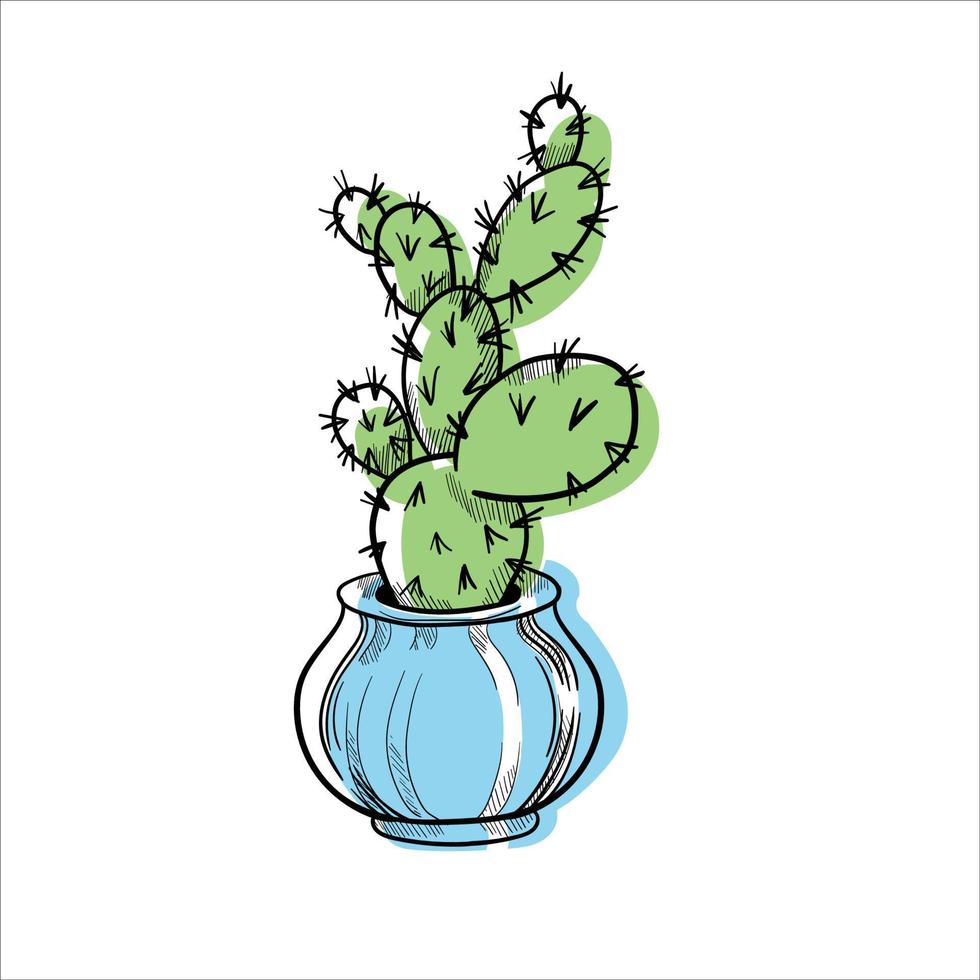 cactus en macetas colorida ilustración plana aislado o blanco vector