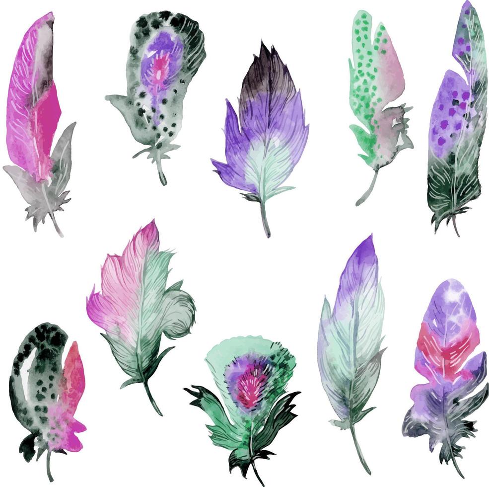 Bird feather element set. Hand drawn watercolor illustration. vector