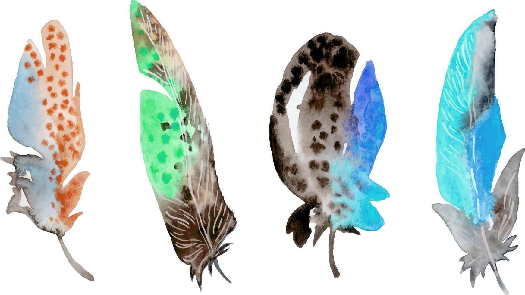 Bird feather element set. Hand drawn watercolor illustration. vector