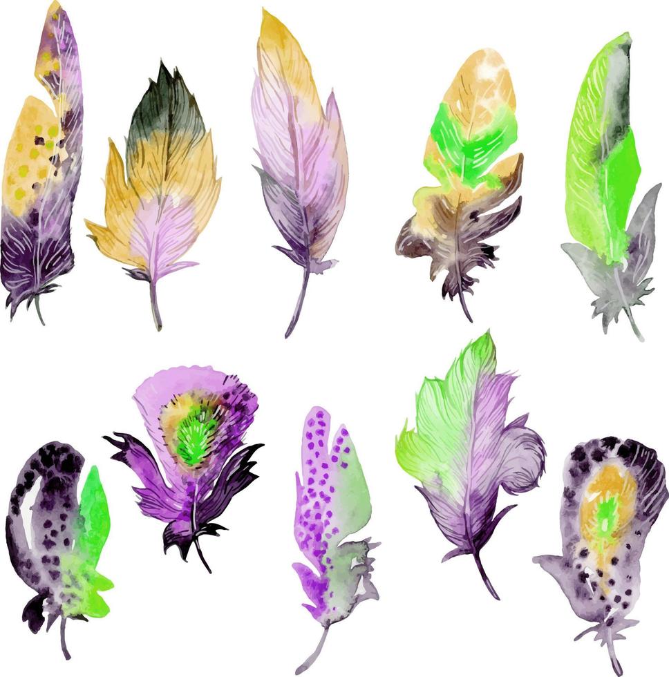 Bird feather element set. Hand drawn watercolor illustration. vector